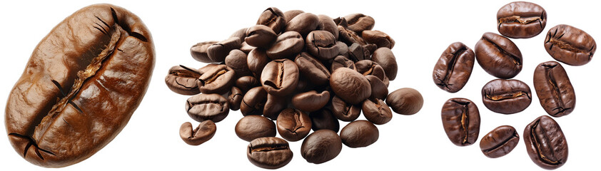 Wall Mural - Coffee bean bundle, a single one and as a heap, isolated on a white background