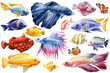 Sea fish watercolor isolated on white background. Marine life painting. Watercolor nautical set colorful tropical fish
