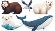 Cartoon illustration set of north pole wildlife. Featuring a cute white bear, a wolverine with brown fur, a big blue striped whale, and a flying albatross or seagull.
