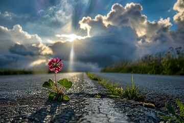Wall Mural - Sunlit flower blooming in the middle of a street, AI-generated.