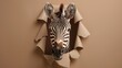 Zebra head peeking through a torn beige paper, view of ears and striped face detail.