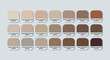 cappuccino colors with hex code. cappuccino Color Guide Palette with color Names. Catalog Samples are gray with RGB HEX codes and Names. Metal Colors Palette Vector, Wood and Plastic ash Color Palette