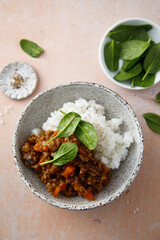 Canvas Print - Beef ragout with white rice