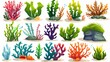 Seaweeds isolated on white background. Modern cartoon illustration showing coral reef, exotic plants growing on sand, underwater flora species, aquarium design elements.