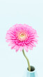 一輪のピンクのガーベラの花が花瓶に飾ってある様子