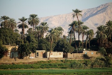 Wall Mural - Landscape along the Nile river between Luxor and Aswan, Egypt