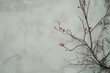 Minimalist winter branches with blossoms on gray background