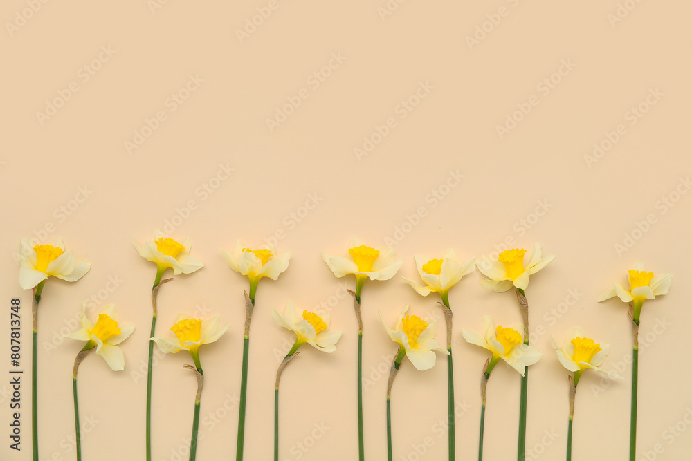 Composition with daffodil flowers on beige background. Top view