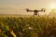 Sunrise Drone Surveying in Agricultural Field