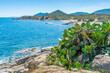 Prickly pears by the sea in Sardinia