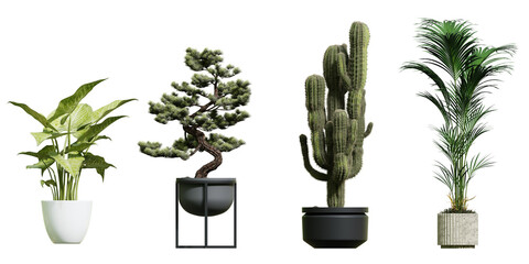 Collection of beautiful plants in ceramic pots isolated on transparent background. 3D rendering.