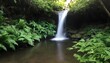 A secret waterfall hidden deep within a lush creek upscaled 4