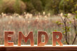 Letters EMDR cut out of wood. Small forest pond with fluffy cattail in blurred background. Eye Movement Desensitization and Reprocessing psychotherapy treatment concept.