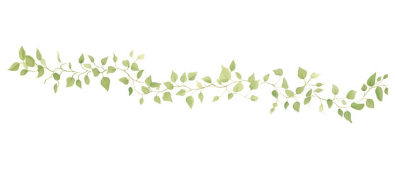 Sticker - PNG Green vine as line watercolour illustration backgrounds pattern plant.