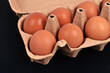 Boîte de douze œufs de poule ouverte en gros plan sur fond noir