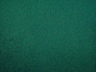 Wall Mural - green leather texture