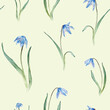Seamless pattern of the light blue first spring flowers. Watercolor botanical illustration of delicate lilac flowers. Three scillas hand drawn isolated on white background. little bouquet.