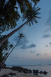 Twilight sky blankets a tropical beach, with palm trees and distant islands silhouetted against the fading light