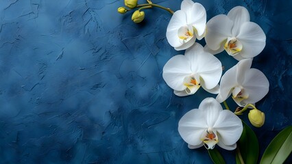 Wall Mural - Elegant Design Projects Featuring White Orchids on Deep Blue Matte Background. Concept Elegant Design, White Orchids, Deep Blue Background, Matte Finish