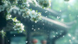 Serene Raindrops on Spring Blossoms Against a Blurred Background