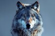 Portrait of a wolf on a gray background, close-up