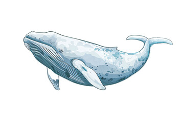 Wall Mural - Majestic Blue Whale Illustration Transparent background