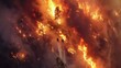 © Plaifah - Aerial view of firefighters working to contain a raging forest fire, aerial firefighting