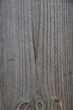 © Studio NJ - old wood texture