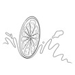 continuous line drawing of kiwi isolated on transparent background. Vector illustration