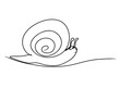 continuous line drawing of snail isolated on transparent background. Vector illustration