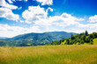 rural landscape of ukrainian highlands with grassy alpine meadows. countryside scenery of carpathian mountains on a warm sunny day under the blue sky with fluffy clouds