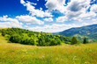carpathian countryside with grassy meadows. beautiful rolling landscape with forested hills in summer. scenery with stunning view beneath an amazing sky located in transcarpathian region of ukraine