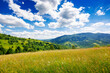 green grassy alpine meadows on the hills located in ukrainian carpathians. gorgeous rural area of transcarpathian region. mountainous countryside landscape rolling beneath a stunning sky in summer