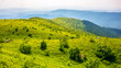 grassy alpine hillside of carpathian mountains in evening light. landscape of ukrainian highlands in summer. scenery located on the mount smooth also called runa. amazing view in to the distant valley