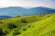 alpine grassy hills. carpathian landscape of ukraine on a sunny summer evening. mountainous scenery with view in to the distant valley smoothly rolling beneath a blue sky