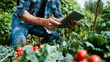 © Creative Valley - Organic Farming: Young Farmer with Digital Tablet