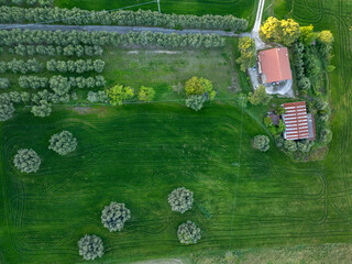 Wall Mural - central Italy view from above