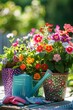 Assorted garden flowers in colorful pots on a sunny table watering can and gloves nearby
