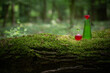 magican potion in glass bottle in summer forest