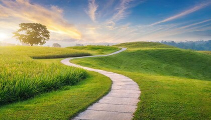 Scenic winding path through a field of green grass in the morning 