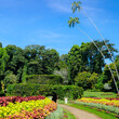 A picturesque botanical garden with exotic tropical plants and trees. Sri Lanka.