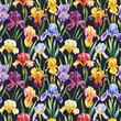 Irises Watercolor flowers. Seamless pattern of flora with leaf background template. Modern seamless pattern. Iris flower