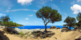 Fototapeta Niebo - Mediterranean sea rocky coast summer panorama with pine trees, big stones and footpath (near Tamariu bay, Costa Brava, Catalonia, Spain).