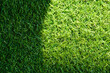 Artificial Grass Field Top View Texture