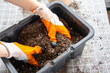 Ingredients for the soil of home potted plants, peat, earth, sand, perlite, vermiculite, coconut. A mixture for planting plants in a pot florist's gloved hands are mixing in a container