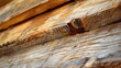 Close up of wood surface texture