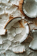 Textured layers of paint in coconut white and brown, abstractly depicting the hard shell and the rich, edible interior,