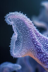 Leinwandbilder - A transparent, amoeba-like organism that can alter its density and shape to drift or anchor itself in zero gravity,