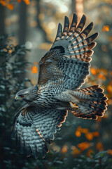 Poster - An aerial predator that mixes the sharp talons of a hawk with the fearsome jaws of a wolf, reigning over the forest canopy,