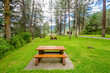Picnic Table in Park with mountains at summer day in Vancouver, Canada, North America.